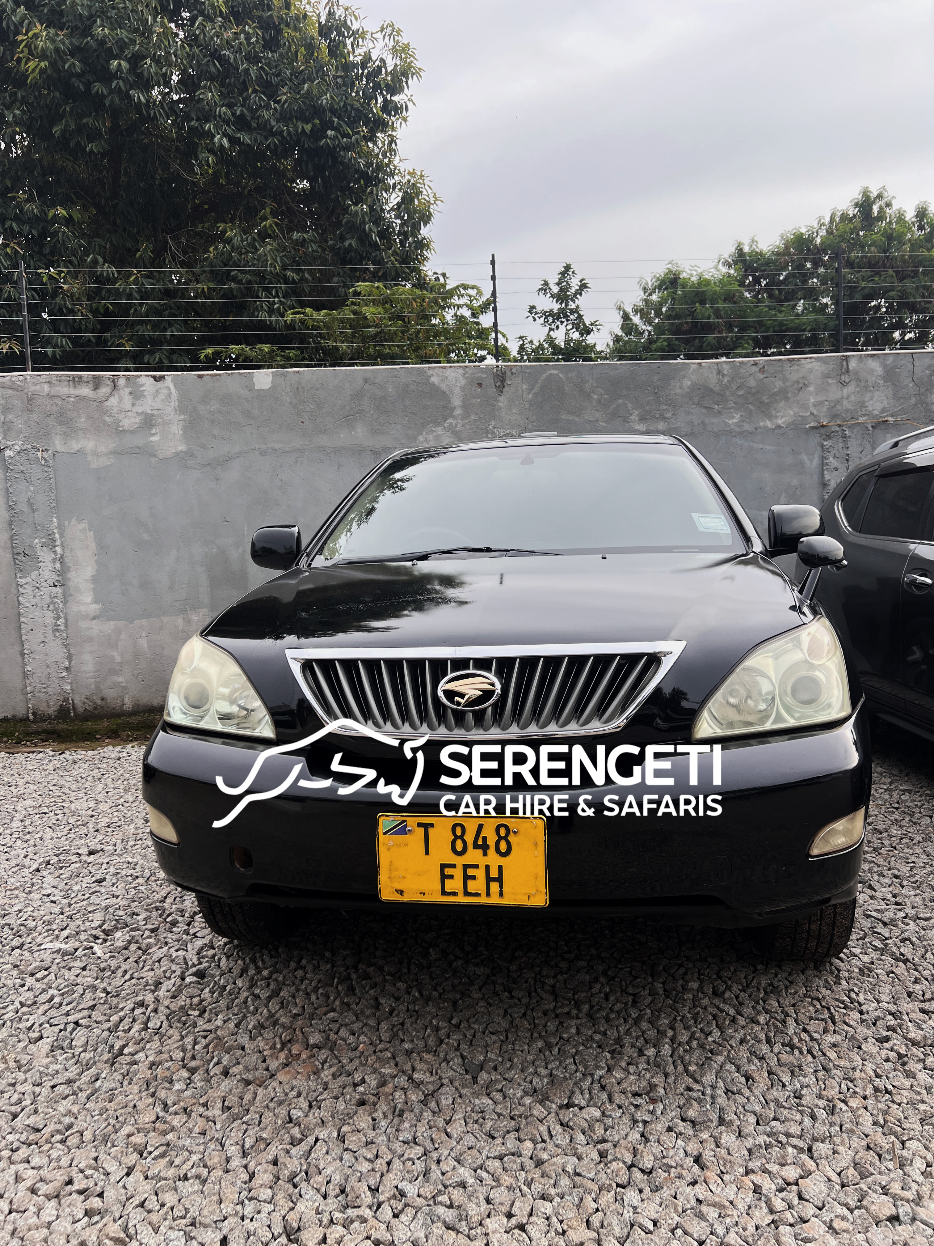 TOYOTA HARRIER car for sale